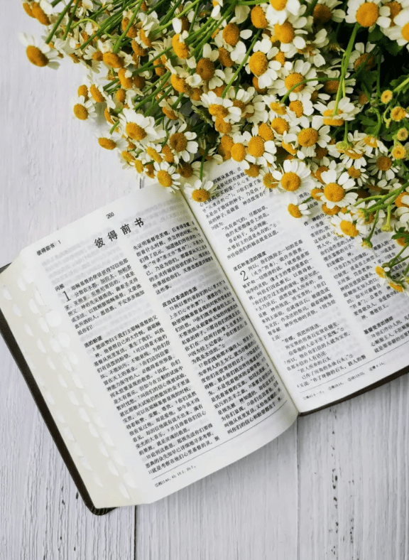 Don’t Wait for Peace—Worship in the&nbsp;Battle