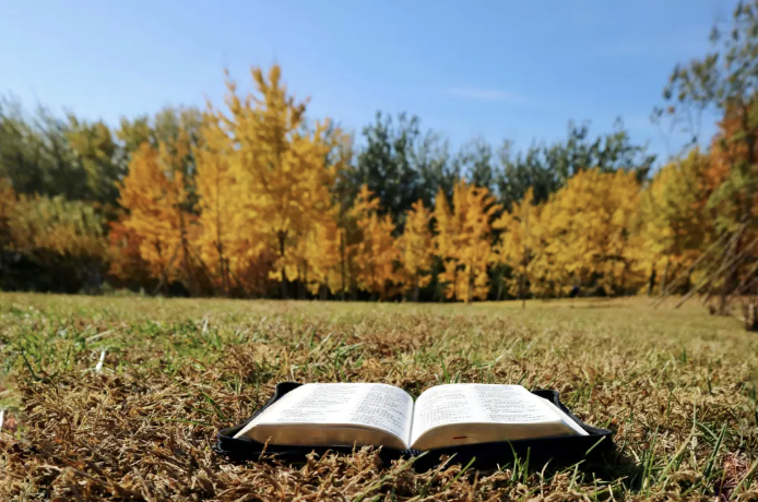 Glorifying God in Submission: Becoming More Like&nbsp;Christ