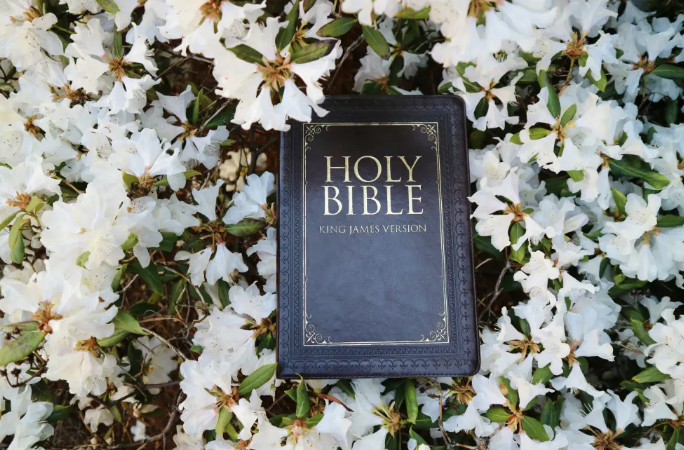 No More Sacrifices: The Final Blood That Changed&nbsp;Everything