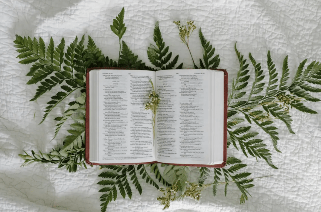 Eat, Drink, and Die? The Danger of Rejecting God’s&nbsp;Word