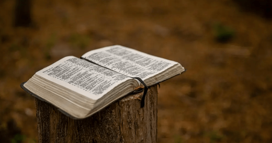 Why Trust the Gospels Over Other Religious&nbsp;Texts?